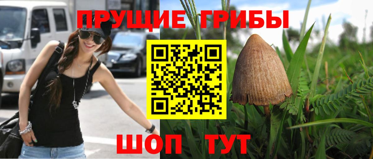 Псилоцибиновые грибы MAGIC MUSHROOMS  Вход с VPN  Каспийск 